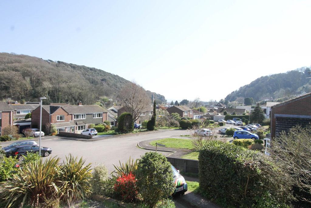 View down Woodland