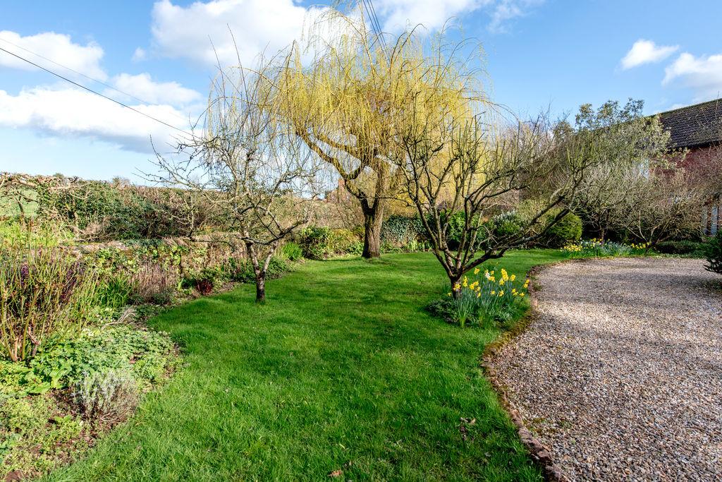 Front garden
