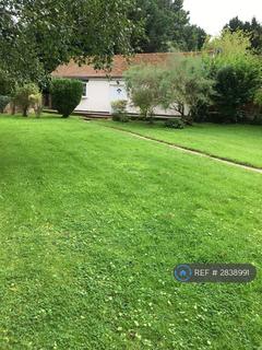 undefined, Benedict Otes, Chelmsford, CM1