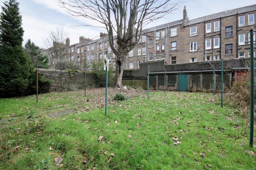 Sunny communal rear garden with lawn and trees...