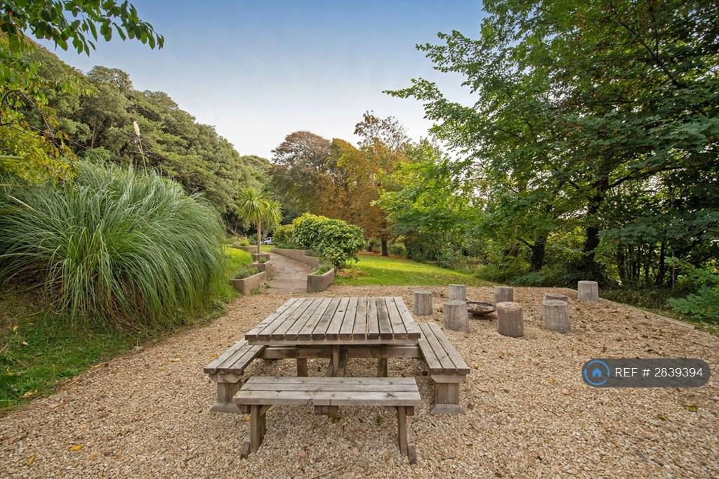 Fire Pit And Bbq Area