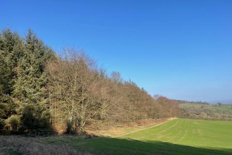 undefined, Dere Wood, Brancepeth, Durham DL15