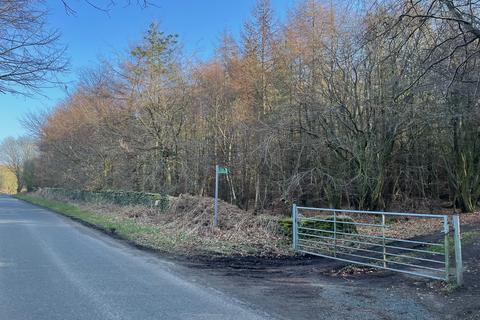 undefined, Dere Wood, Brancepeth, Durham DL15