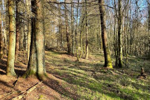 undefined, Dere Wood, Brancepeth, Durham DL15