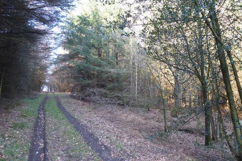 undefined, Dere Wood, Brancepeth, Durham DL15