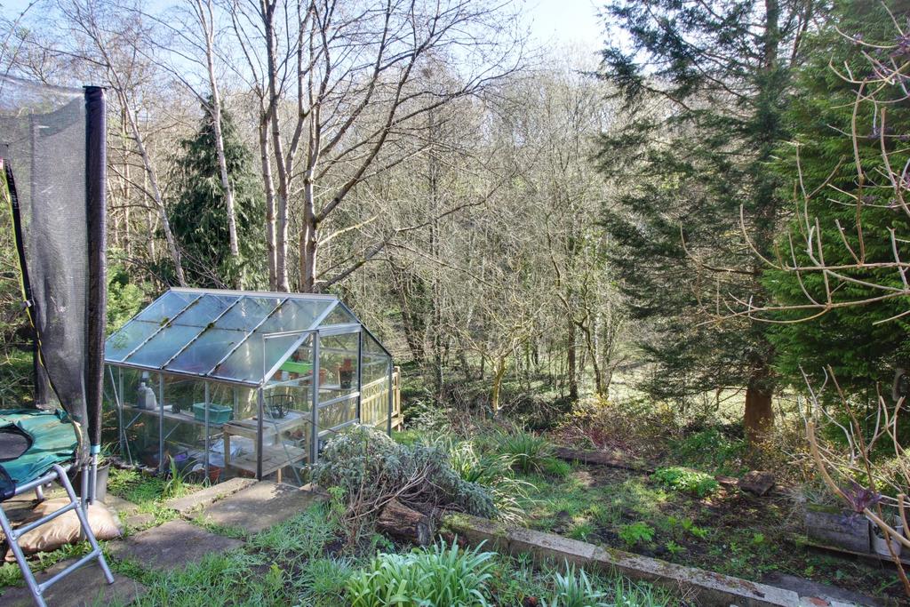 Back Garden