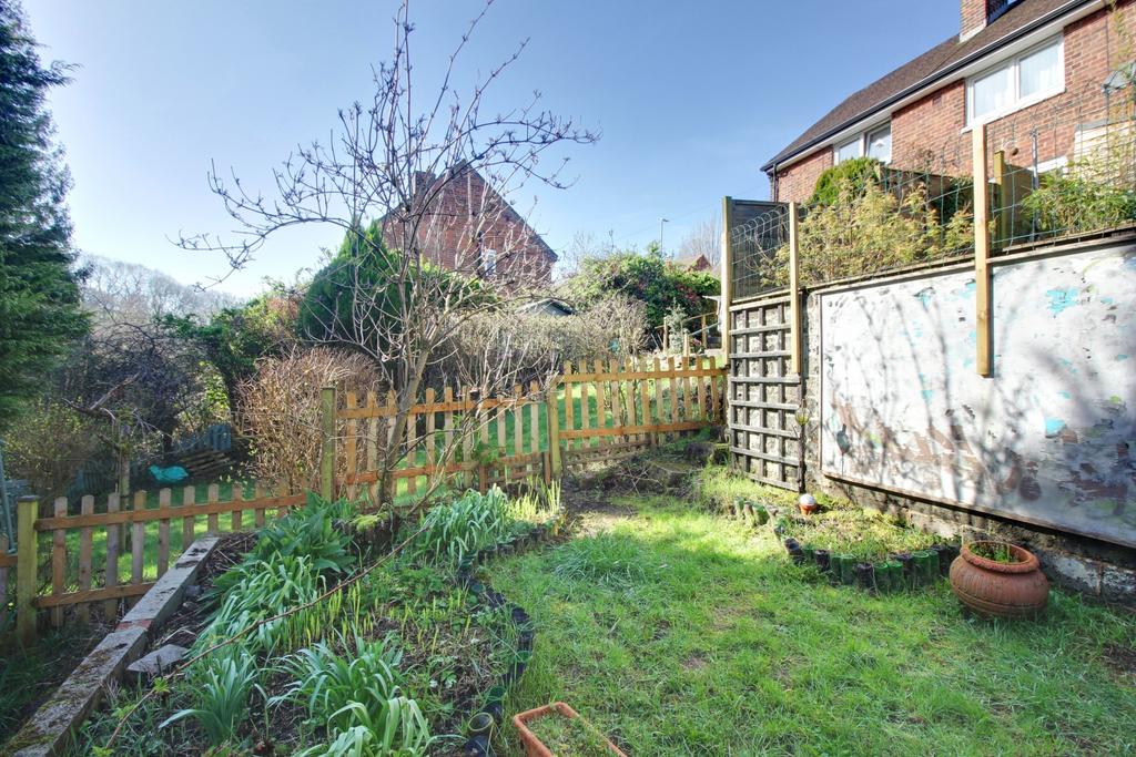Back Garden