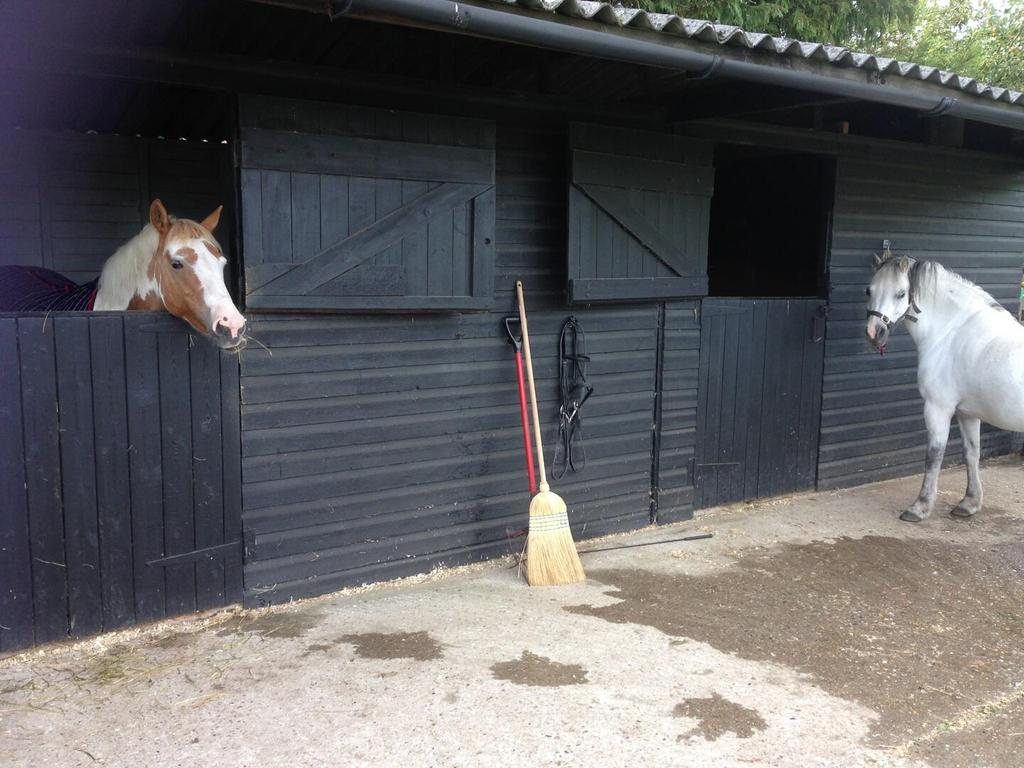 Stables