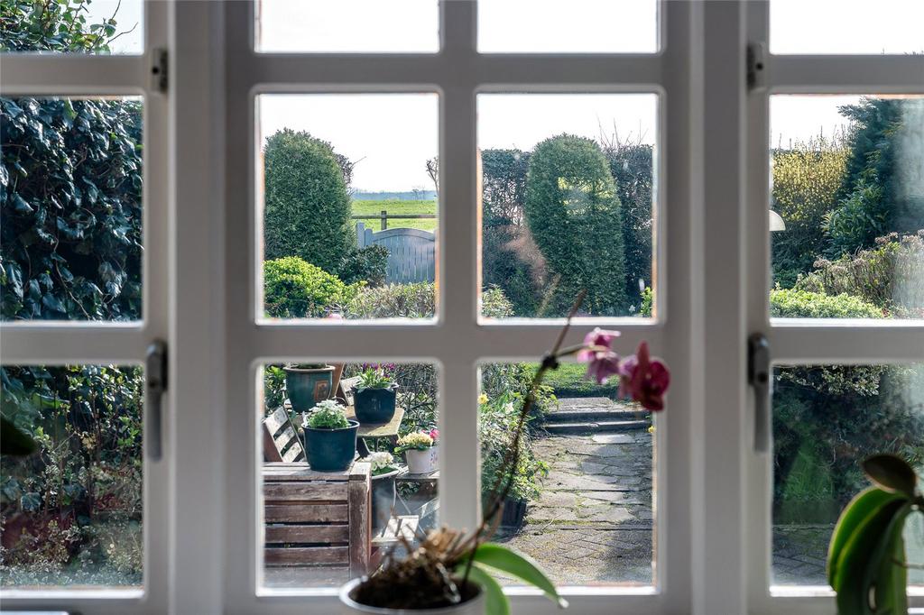 Window