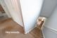 Additional image 21 of Pinehurst Close, Westbury Park, Newcastle-under-Lyme