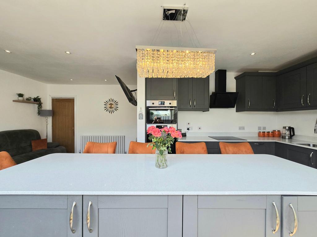 Open plan kitchen/living