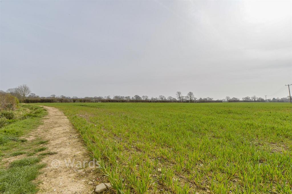 Surrounding Area