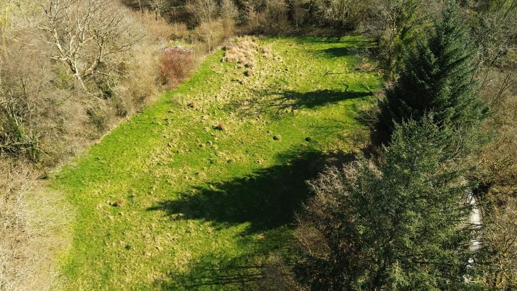 Wild flower meadow/paddock (second image)