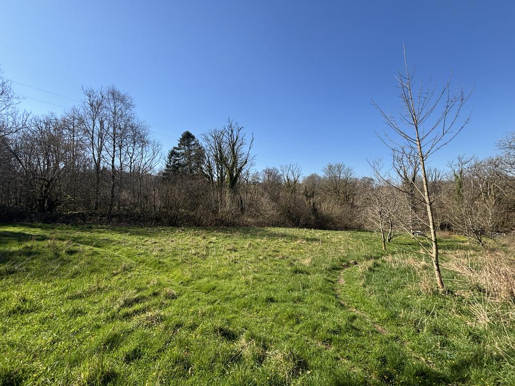 Wild flower meadow/paddock (third image)