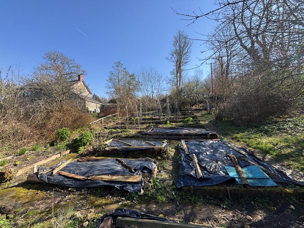 Vegetable garden and growing area