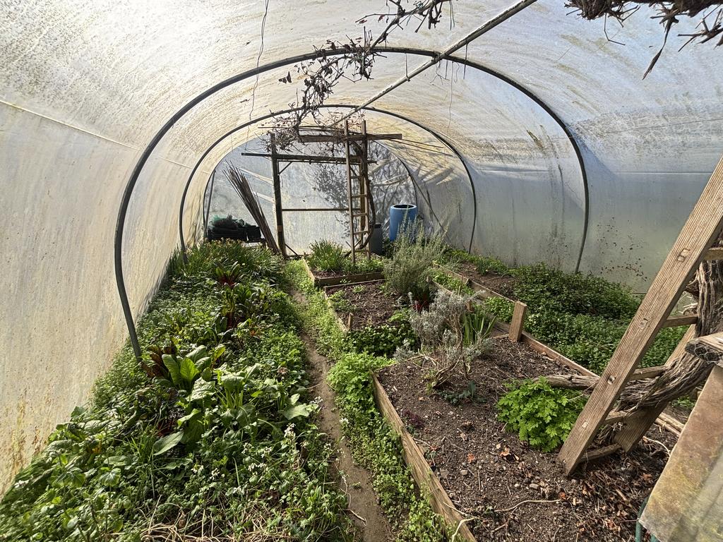 Poly tunnel (second image)