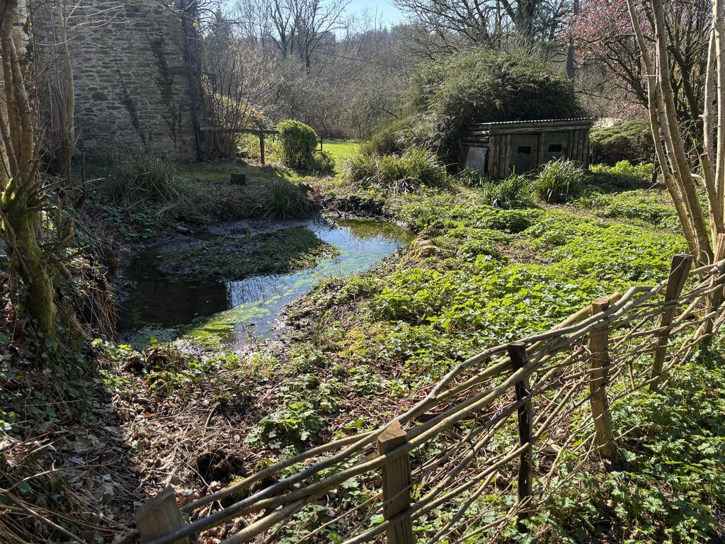 Garden (second image)