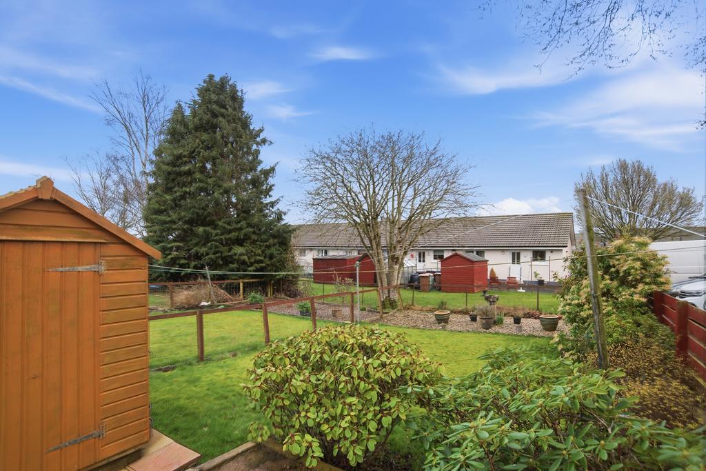Back Garden