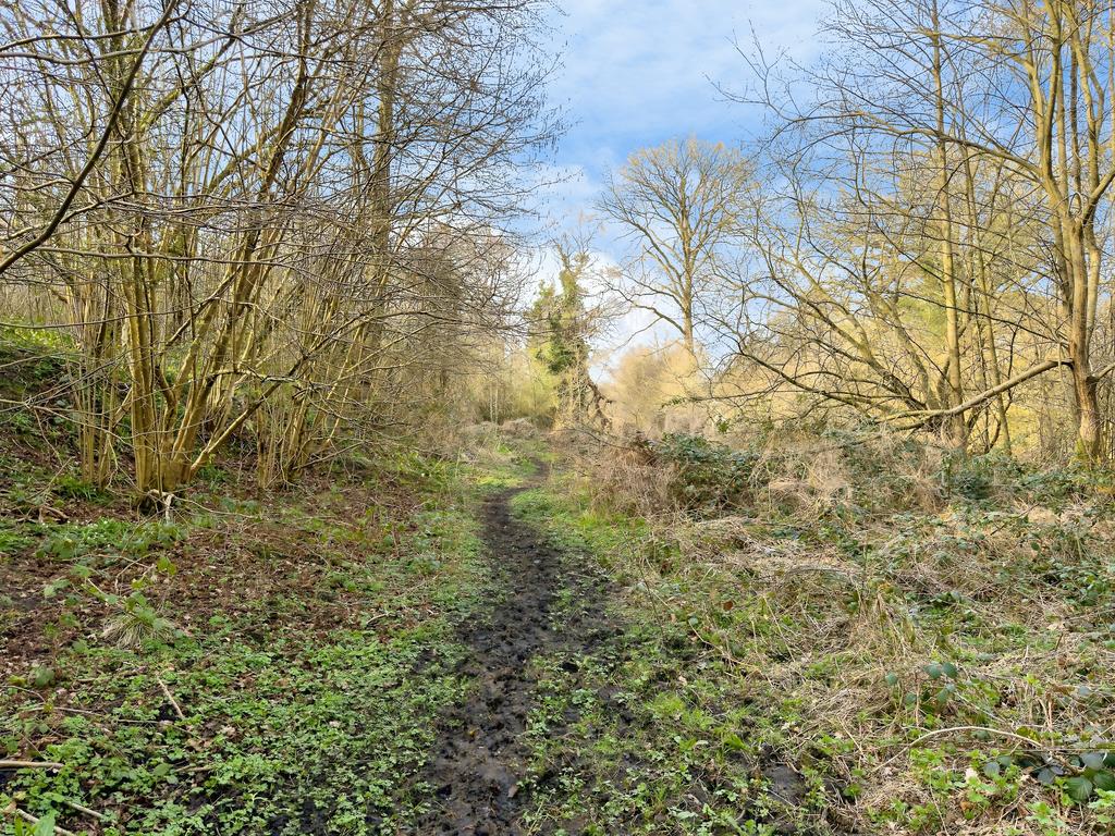 COEDTAL6 T202603221312.jpg