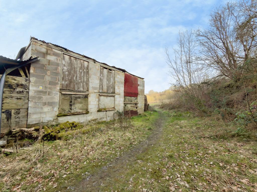 COEDTAL3 T202603221312.jpg