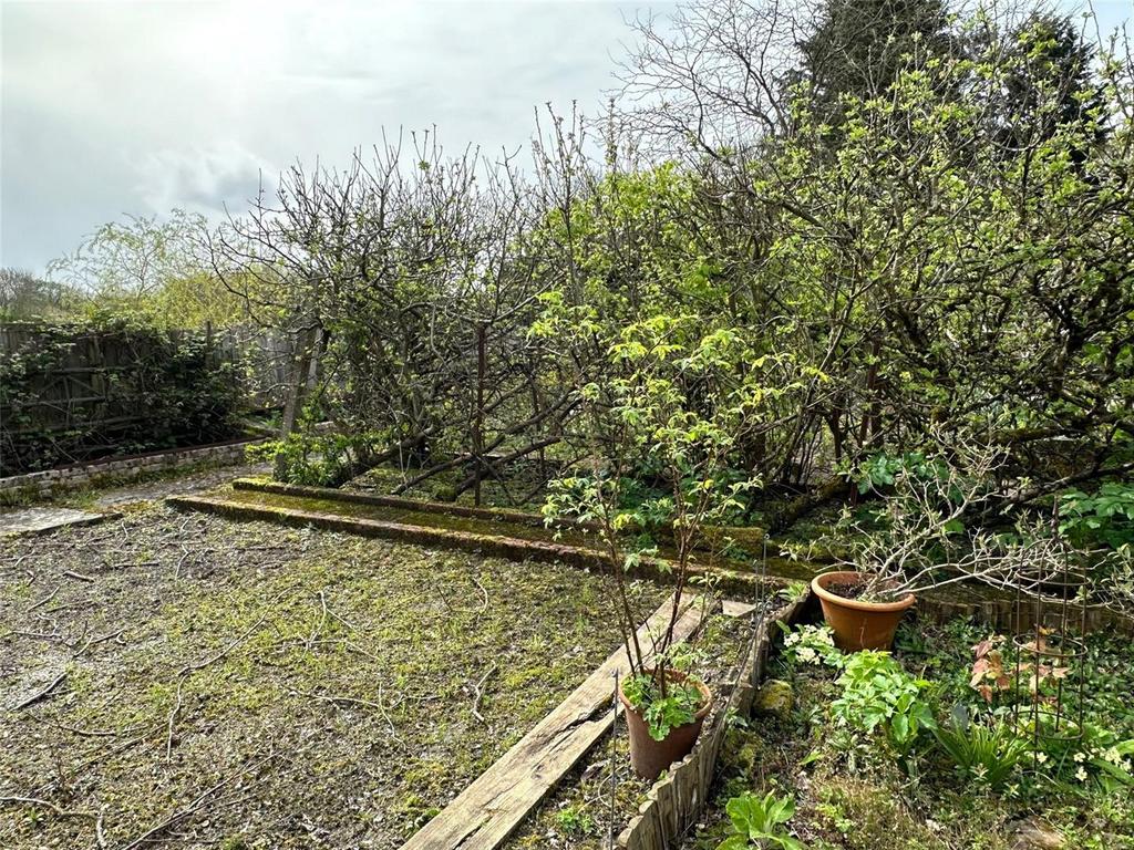 Vegetable Garden