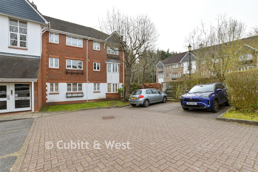 Driveway/Parking