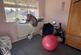 Additional image 8 of Millers Way, Muxton, Telford