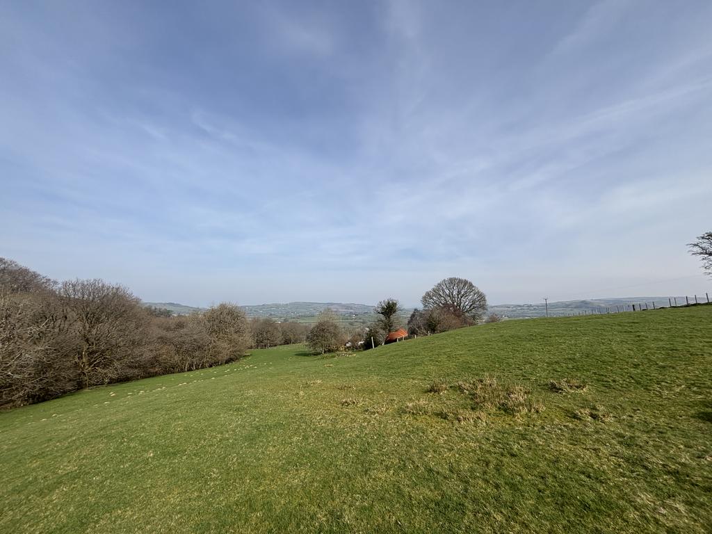 Land (third image)