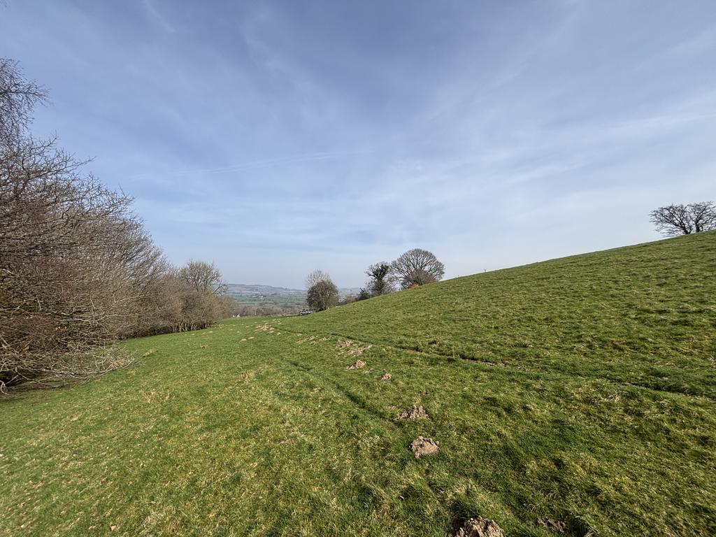 Land (fourth image)