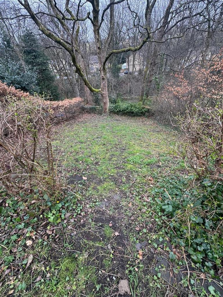 Back garden..jpg