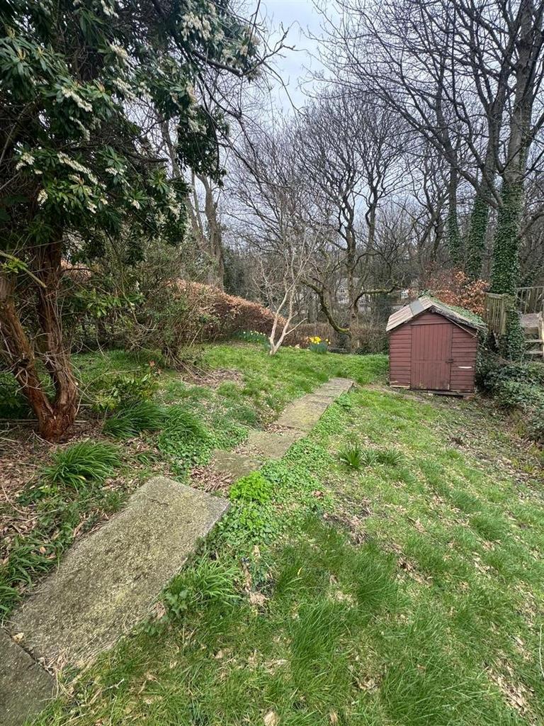 Back garden.jpg