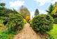 Additional image 21 of South End, Milton Bryan, Milton Keynes, Bedfordshire, MK17