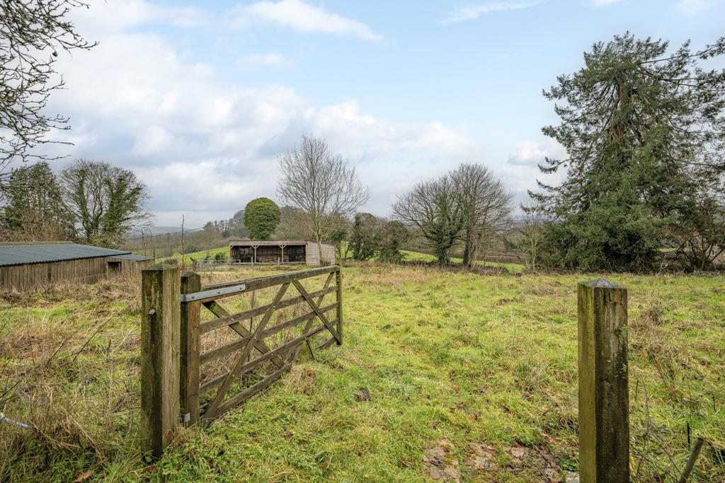 Gate To Paddock