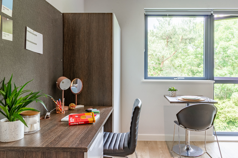 undefined, Premium Studio at Cricket Field Court, Prince of Wales Road EX4