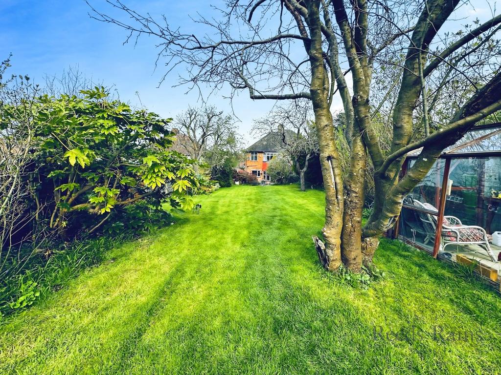 South Facing Garden