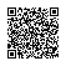 PL1 4 SW-QR-code.png