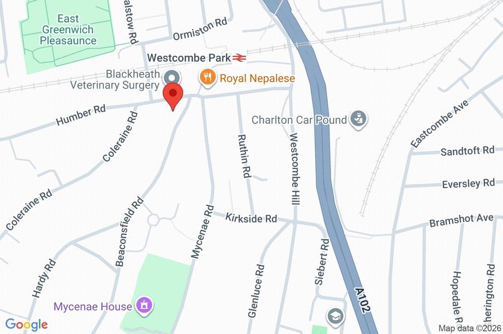 Google Maps Image