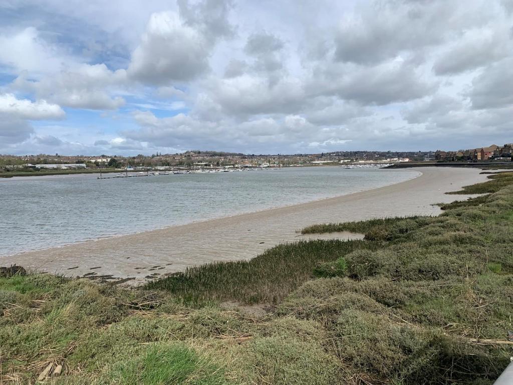 River view.jpg
