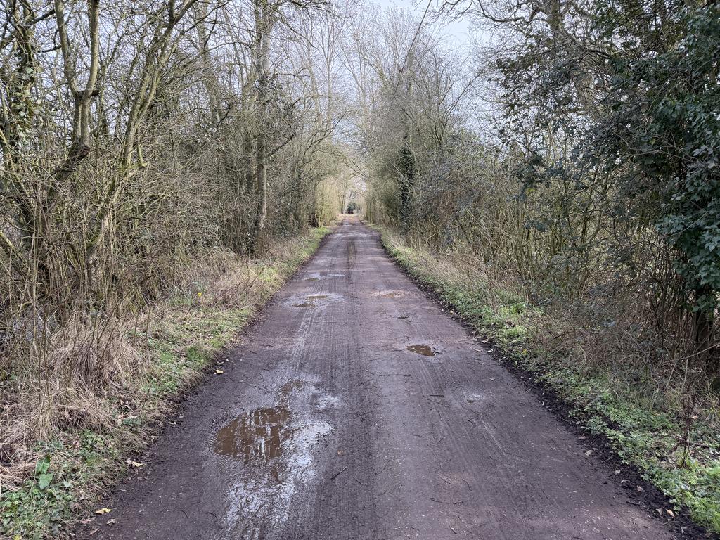 15 T202603171243.jpg