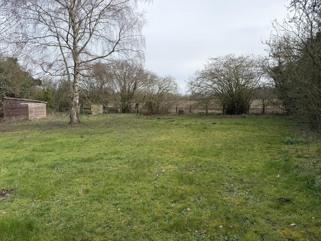 19 T202603171243.jpg