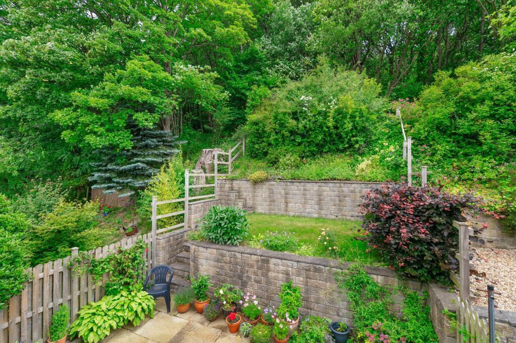 Garden.jpeg