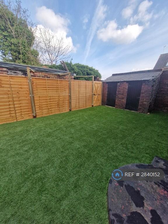 Back Garden