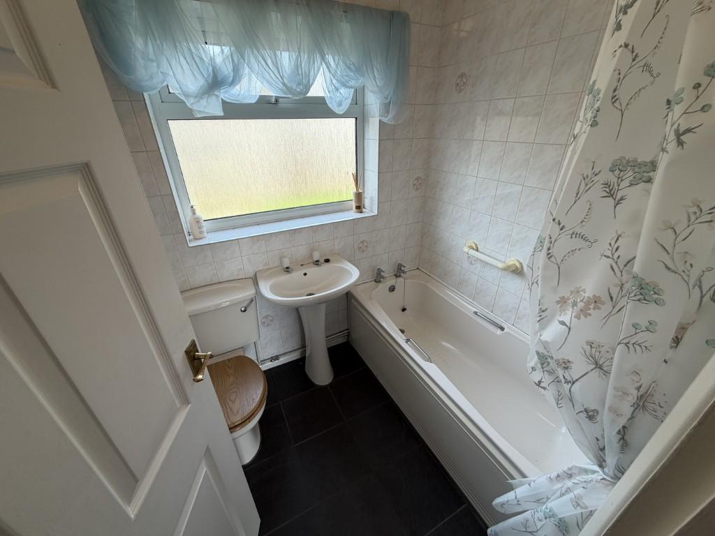 8 Medium T202603241039.jpg