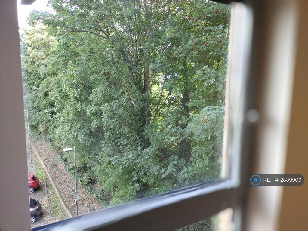 Bedroom Window View