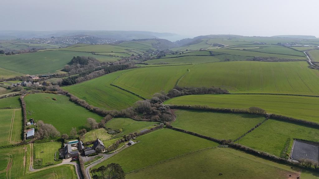 Ariel View