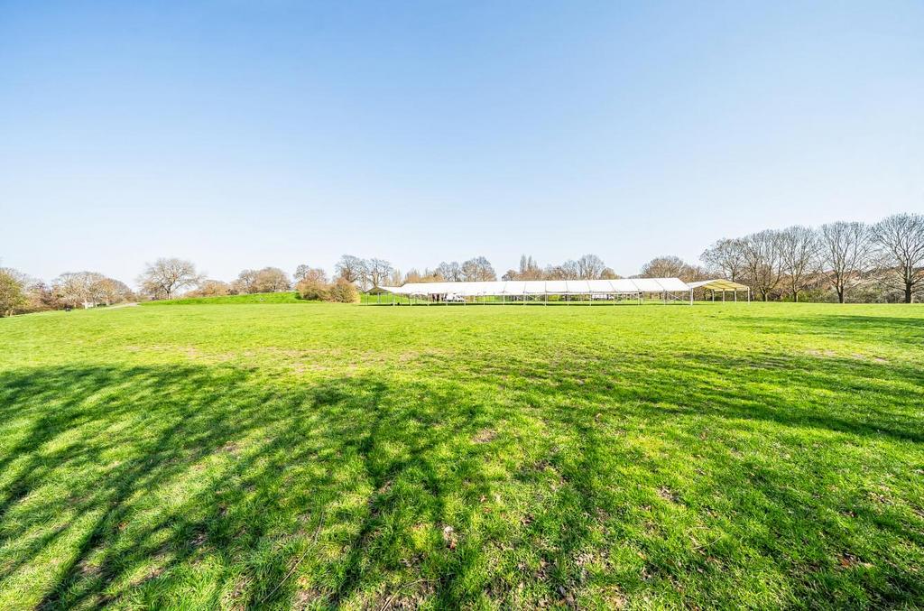 Mountsfield Park.jpg