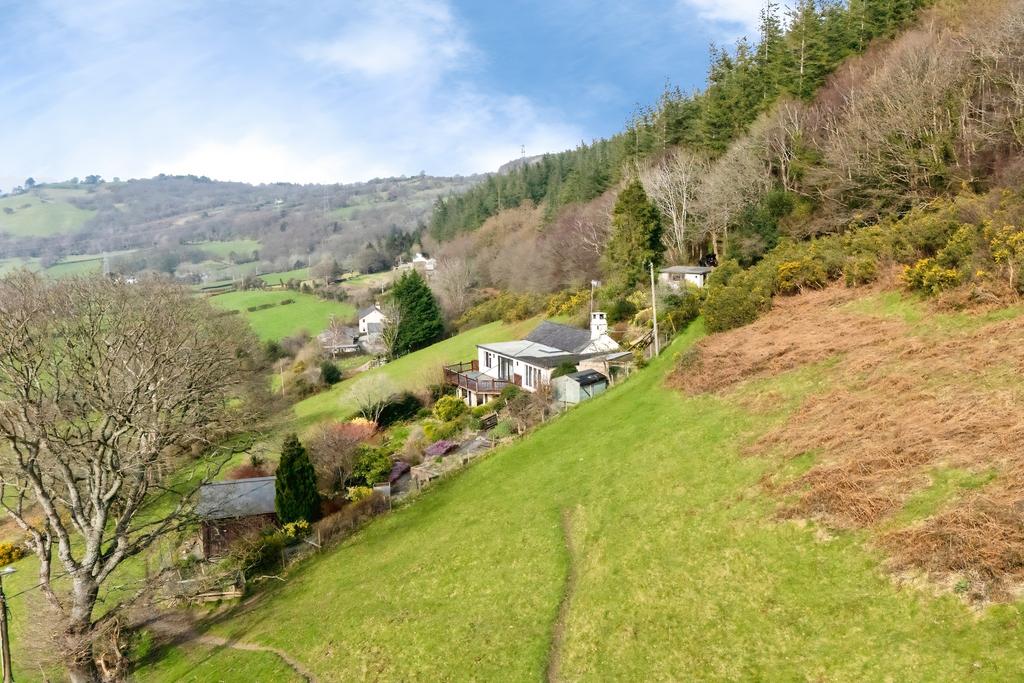 LLIDYCOED15 T202603251656.jpg