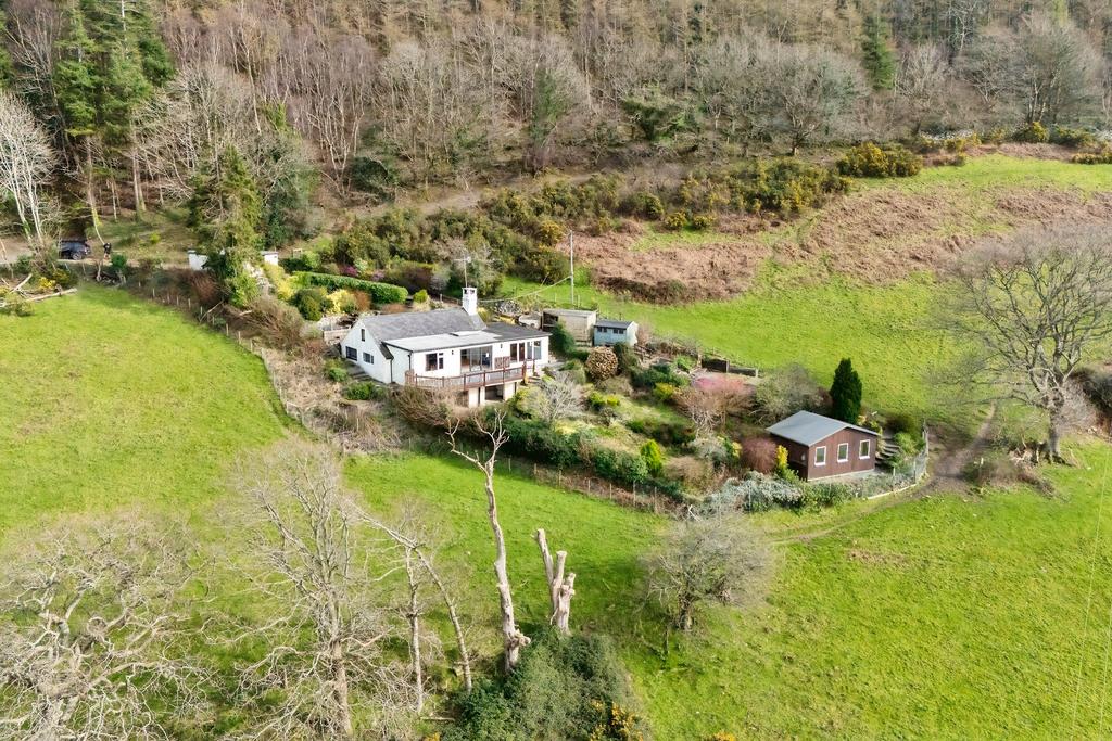 LLIDYCOED7 T202603251656.jpg