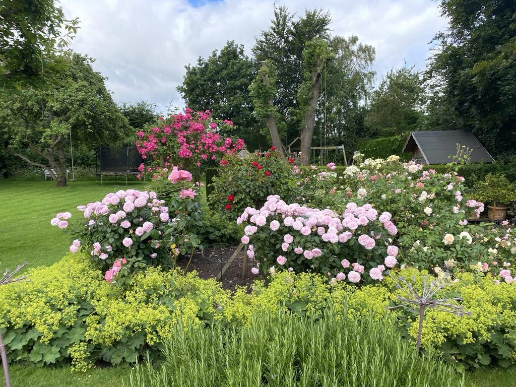Picture 28