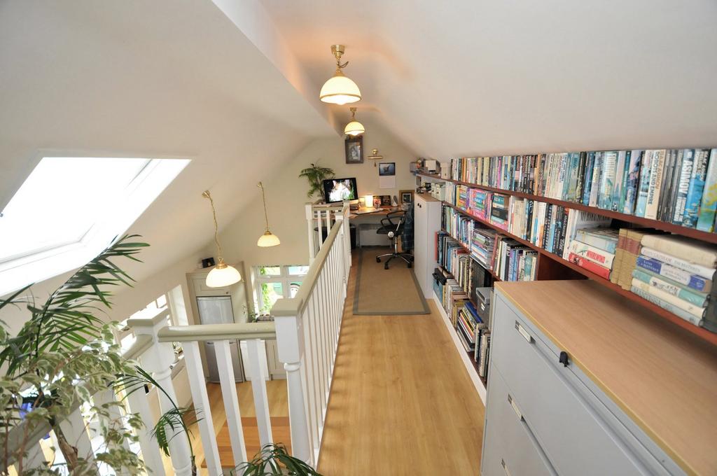 Study Area